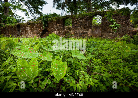 Bunce Island, Sierra Leone - June 02, 2013: West Africa, Bunce Island was a British slave trading post in the 18th century. From its shores, tens of t Stock Photo