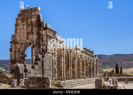 Ruins of the roman basilica of Volubilis, a UNESCO world heritage site near Meknes and Fez, Morocco Stock Photo