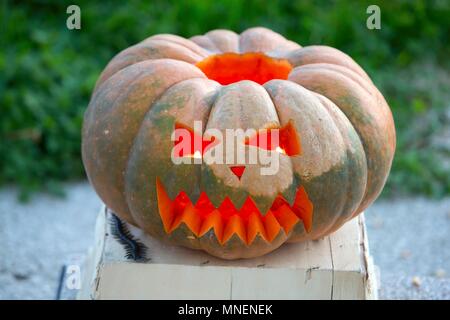 Pumpkin carving step shot Stock Photo