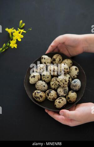 Hands holding a bowl of quail eggs Stock Photo