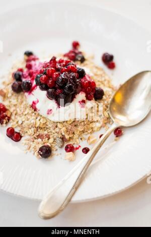 Porridge oats with Greek yoghurt and redcurrants Stock Photo