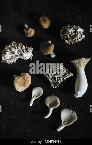 Various edible mushrooms on a black background (top view)