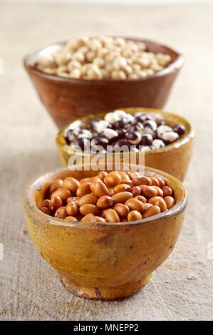 Various types of Italian beans in wooden bowls Stock Photo