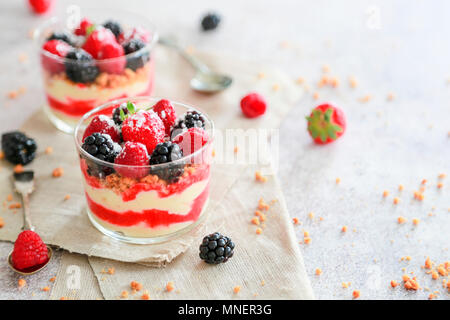 Layered desserts in glasses with custard cream, fruit sauce, biscuit crumbs and berries Stock Photo