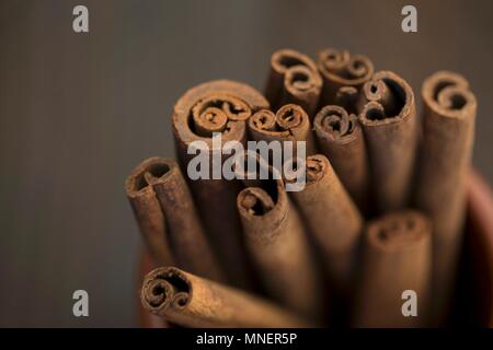 Cinnamon sticks (close-up) Stock Photo