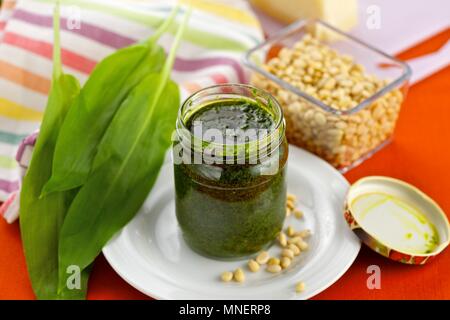 Wild garlic pesto and ingredients Stock Photo