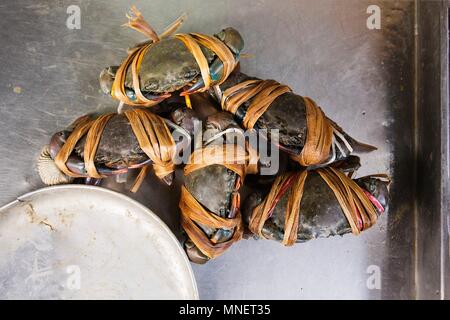 Tied crabs at a fish market, Thailand Stock Photo