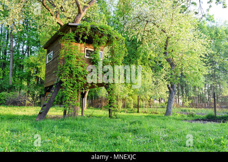 House on tree Stock Photo