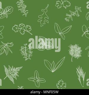 Popular culinary herbs seamless pattern. realistic style. icon outline sketch on green. Basil, coriander, mint, rosemary, basil, Stock Vector