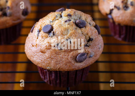 Chocolate Chip Muffins Stock Photo