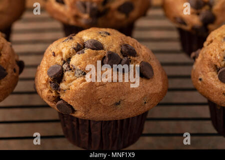 Chocolate Chip Muffins Stock Photo