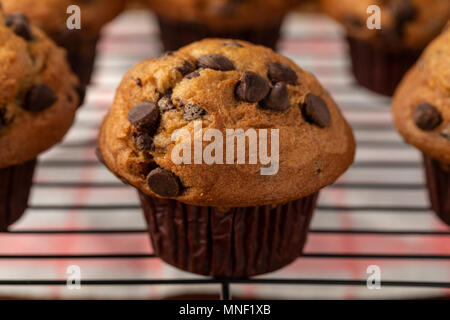 Chocolate Chip Muffins Stock Photo