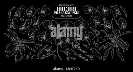 Set of isolated orchid, Phalaenopsis in 27 styles. Cute hand drawn flower vector illustration only white outline on black background. Stock Vector