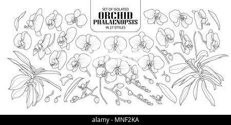 Set of isolated orchid, Phalaenopsis in 27 styles. Cute hand drawn flower vector illustration in black outline and white plane on white background. Stock Vector