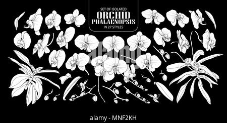 Set of isolated white silhouette orchid, Phalaenopsis in 27 styles. Cute hand drawn flower vector illustration in white plane without outline on black Stock Vector