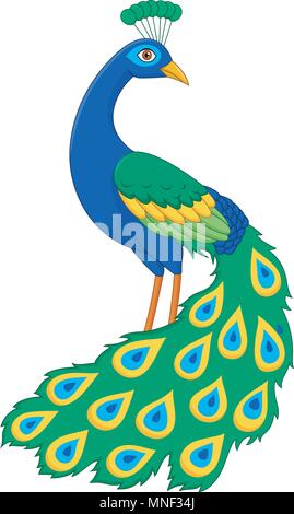 Cartoon funny peacock Stock Vector