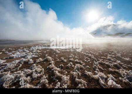 Ice crystals on the ground, rising steam, geothermal area Hverarönd, also Hverir or Namaskard, North Iceland, Iceland Stock Photo