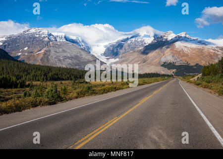 View from Icefields Parkway, Highway 93, Dome Glacier, Columbia Icefield, Mount Kitchener, Jasper National Park, Rocky Mountains Stock Photo