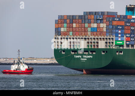 Container ship Tampa Triumph, enters the seaport of Rotterdam, Netherlands, deep sea port Maasvlakte 2, on a man-made land area off the original coast Stock Photo