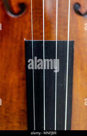 Focus on violin strings over fingerboard body belly. Top view, detailed macro. Full frame crop Stock Photo