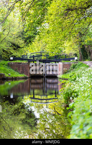 Water gates on Bansigstoke Canal at walkpath in Goldsworth Park near St John village in Woking, Surrey. Spring time with green trees aroundm sunny day Stock Photo