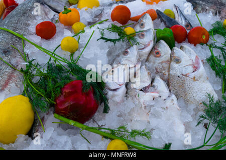 mix of different fish in ice cubes, with red, green, orange paprika, tomatoes, lime, lemon and dill in table Stock Photo