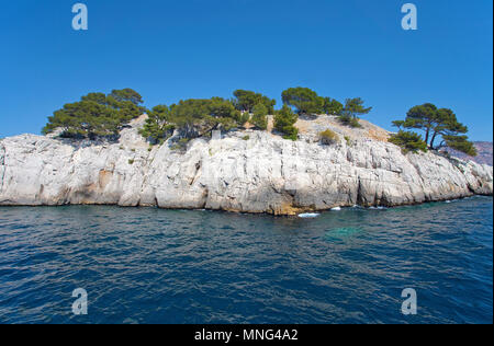 Pine trees growing on rocks at Calanques, Bouches-du-Rhone, Côte d’Azur, South France, France, Europe Stock Photo