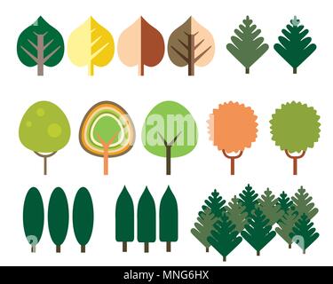 Set of flat design of coniferous and deciduous trees of different species, isolated on white background - vector Stock Vector