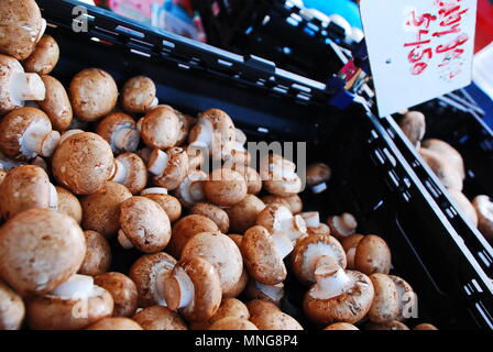 Basket of brown mushrooms for sale at outdoor local market in Dunedin, Florida. Stock Photo