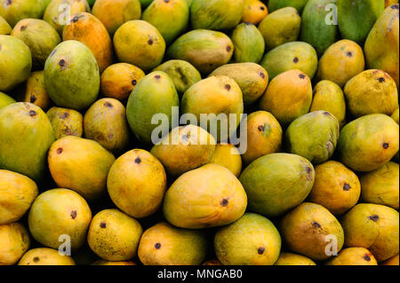 Fresh green mangos background Stock Photo