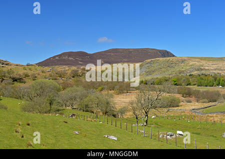 Arenig Fach from Arenig Fawr walk, Bala. Stock Photo