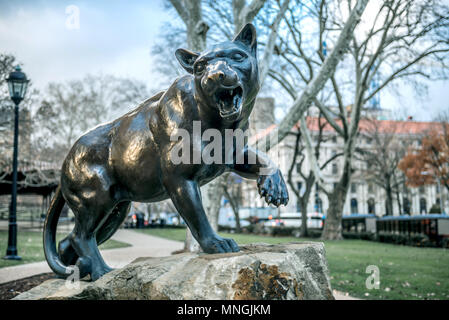 University of Pittsburgh Panther Statue in front of historic William Pitt Union building. Stock Photo