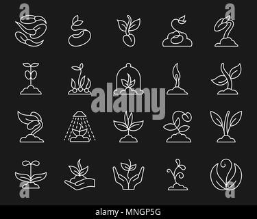 Sprout thin line icons set. Outline monochrome web sign kit of seeds. Plant linear icon collection includes sapling, grass, leaves. Simple sprout whit Stock Vector