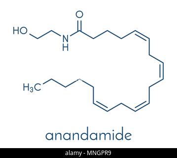 Anandamida Fórmula Estrutural Neurotransmissor Endógeno Ilustração Vetorial  imagem vetorial de eestingnef© 242601606