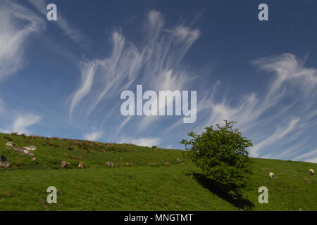 Cirrus clouds in blue sky Stock Photo