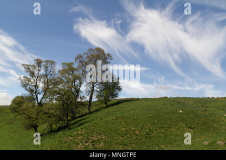 Cirrus clouds in blue sky Stock Photo