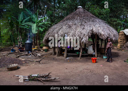 Yongoro, Sierra Leone - June 04, 2013: West Africa, unknown people works on the transformation of palm oil in the village in front of the capital of t