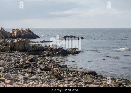 Hovs hallar is a  natural reserve in a costal area in the south of Sweden Stock Photo