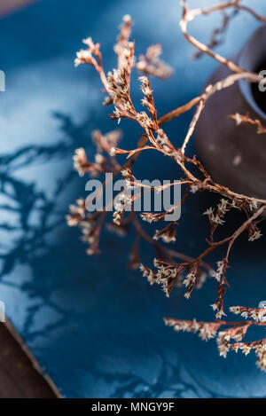 Beautiful still life with a dark vase and a dry branch with flowers in it interior decoration Stock Photo