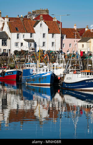 Fishing harbour with many fishing boats at Pittenweem in East Neuk of ...