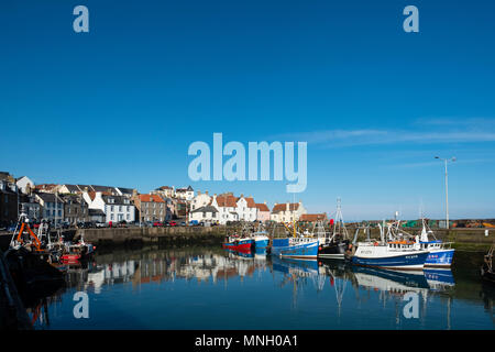 Fishing boats, Pittenweem harbour, Fife Stock Photo - Alamy