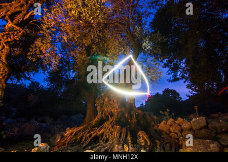 triangle of light in night forest on long exposure Stock Photo