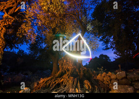 triangle of light in night forest on long exposure Stock Photo