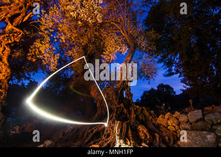 triangle of light in night forest on long exposure Stock Photo