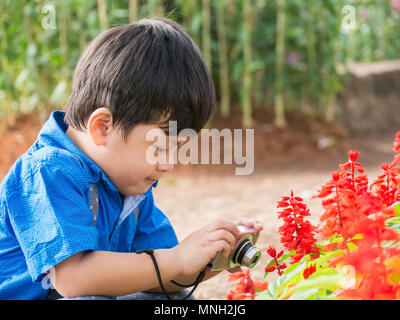 Little asian boy take camera on garden flower, Stock Photo