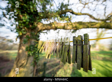 Old wooden clothes pegs on a washing line at a Devon farmhouse, UK Stock Photo