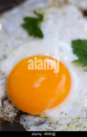 Scrambled eggs from a hen's egg in a frying pan Stock Photo