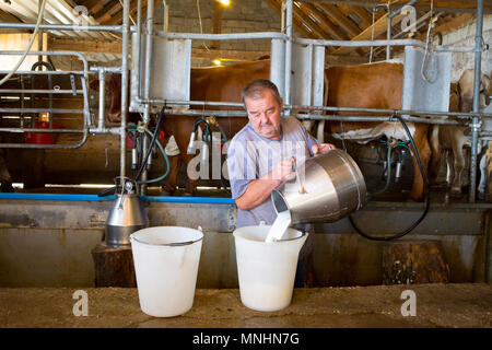 Farmer emptying can of fresh milk after milking cows at mountain farm Platina Leskovca, Triglav, Slovenia Stock Photo