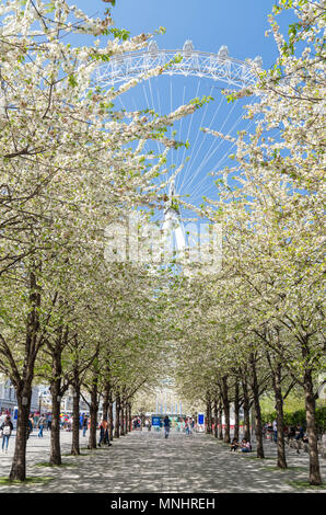 London eye Stock Photo