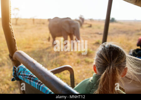 Adorable little girl in Kenya safari on morning game drive in open vehicle Stock Photo